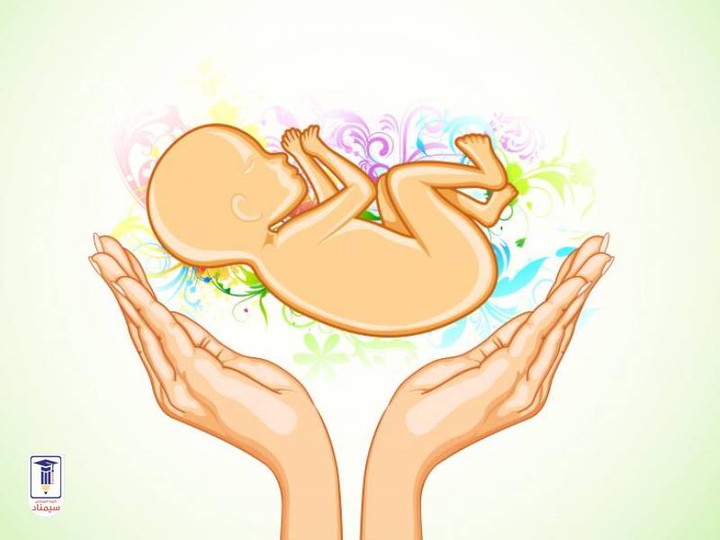 روش های افزایش هوش جنین در دوران بارداری مادر